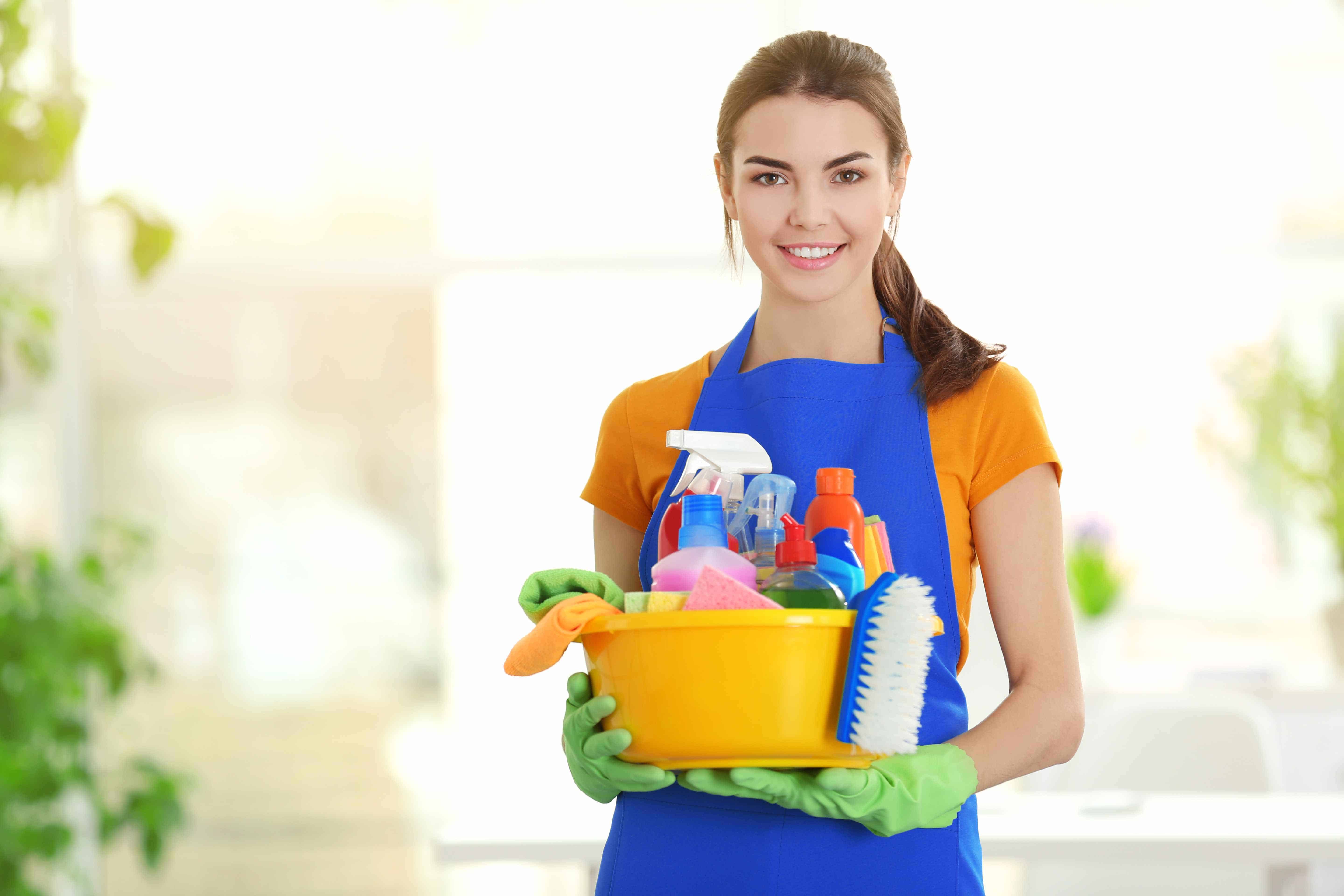 Cleaning services and supplies business for sale $149,900